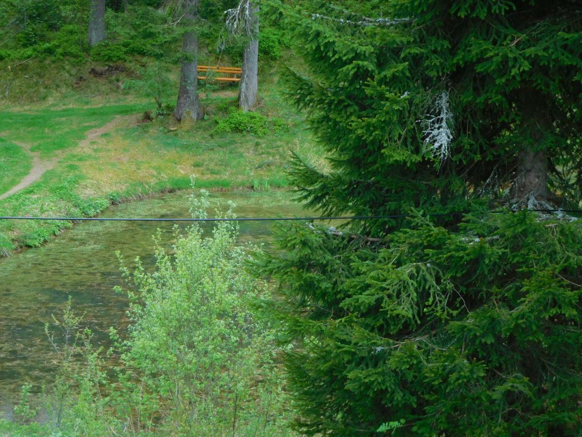 Ferienwohnung Schwarzwaldrauschen Schoenwald im Schwarzwald Exterior photo