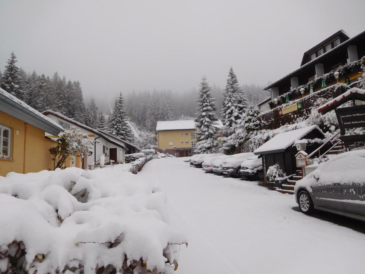 Ferienwohnung Schwarzwaldrauschen Schoenwald im Schwarzwald Exterior photo