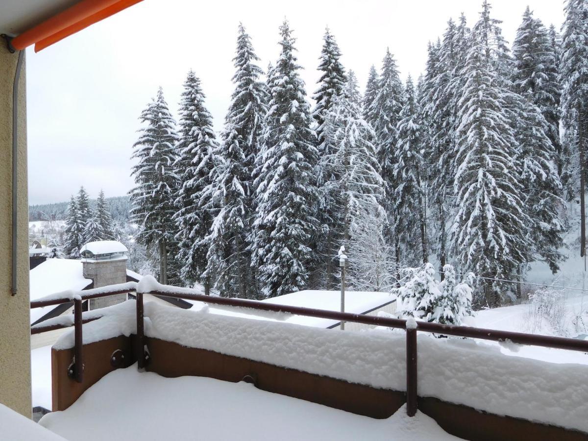 Ferienwohnung Schwarzwaldrauschen Schoenwald im Schwarzwald Exterior photo