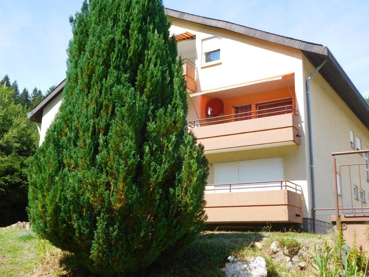 Ferienwohnung Schwarzwaldrauschen Schoenwald im Schwarzwald Exterior photo
